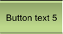 Button text 5
