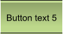 Button text 5